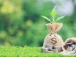 Xanh hóa dòng chảy tín dụng: Việc không thể chậm hơn