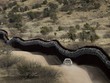 Mỹ cắt giảm chi tiêu quân sự để xây tường với Mexico