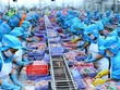 Năm 2020, lợi nhuận sau thuế của Nam Việt (ANV) giảm 71%