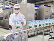 Vinamilk xuất lô hàng lớn gồm sữa hạt và sữa đặc sang Trung Quốc