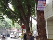 Mỗi ngân hàng một công ty tài chính là điều đáng quan ngại