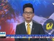 Bản tin tài chính kinh doanh trưa 13-12