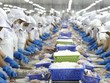 Sản phẩm của Vĩnh Hoàn có mặt tại chuỗi siêu thị lớn nhất Tây Ban Nha