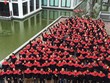 Chất keo kết dính người lao động