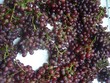 Nông sản Việt bị đội lốt tràn lan, Bộ Công thương than khó quản lý