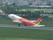 Vietjet vận chuyển mai, đào dịp tết Kỷ Hợi 2019