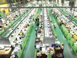 Tổ chức Lao động quốc tế (ILO): Việt Nam cần tạo thị trường mới để tăng năng suất lao động