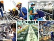 Năng suất lao động Việt Nam trong ASEAN chỉ còn hơn duy nhất Campuchia và những câu hỏi phía sau