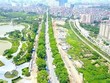 Hà Nội kiểm kê đất đai, lập bản đồ hiện trạng sử dụng đất năm 2019