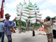 Xuất khẩu gạo sang Philippines dễ thở hơn