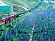 Lào Cai mong muốn các nhà đầu tư chiến lược tiếp tục đầu tư vào hạ tầng du lịch