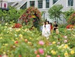 Du lịch Sa Pa khởi sắc trở lại