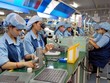 Vị trí trung gian có thể giúp FDI vào Việt Nam lội ngược dòng