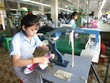 Gạo, cà phê, giày dép… bắt đầu hưởng ưu đãi từ EVFTA