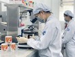Nông sản, thực phẩm chế biến rộng đường sang Trung Quốc