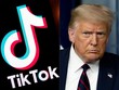 Tổng thống Donald Trump không nhân nhượng với TikTok