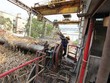 Nhiều doanh nghiệp mía đường thê thảm rời “cuộc chơi”