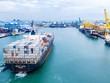 WTO: Thương mại thế giới phục hồi một phần