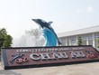 Dấu hỏi tái cơ cấu Hùng Vương (HVG) sau khi Thaco thoái vốn