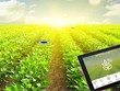Chuyển đổi số để nông nghiệp tiếp tục vai trò “trụ đỡ”