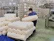 Dệt May Trung Quy vận hành nhà máy có tổng mức đầu tư 180 tỷ đồng tại Long An