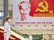 Cảm ơn Việt Nam!