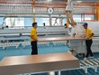 Ngành gỗ năm 2021: Khả quan về xuất khẩu; vẫn lo ngại cáo buộc, điều tra