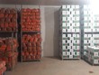 Hải Dương mong thống nhất biện pháp vận tải hàng hoá trong bối cảnh dịch Covid-19