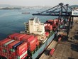Xuất khẩu hứa hẹn một năm bận rộn