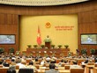 Làm rõ hơn tiêu chuẩn nhân sự ứng cử đại biểu Quốc hội, Hội đồng nhân dân