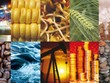 Thị trường hàng hóa tuần từ 27/11-4/12: Kim loại vững đà tăng