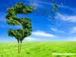 Các ngân hàng trở lại đường đua với diện mạo mới