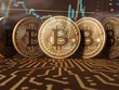 Giá Bitcoin hôm nay ngày 25/8: Tăng hơn 100 USD, Bitcoin hiện đang giao dịch tại mức 11.786 USD/BTC