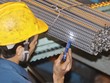 Sản phẩm thức ăn chăn nuôi của HPG sẽ ra mắt vào tháng 3/2016
