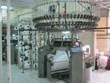 Esquel sẽ đầu tư nhà máy sản xuất vải dệt kim tại Việt Nam