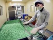 Traphaco quyết tìm sự đồng thuận từ SCIC