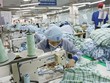 Hoạt động sản xuất - kinh doanh 5 tháng qua vẫn có thêm nhiều điểm sáng