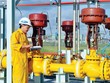 GAS muốn bán bớt 20% vốn nhà nước