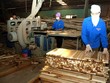 Quý 2, TTF ước lãi 50 tỷ đồng