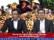 Bản tin Rapnews số 16