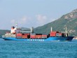 Vinalines cho rằng, phán quyết của Hội đồng Trọng tài là không đúng bản chất sự việc