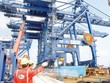 Thi công Gói thầu 10A đê chắn sóng phía Nam luồng sông Hậu