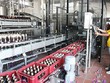 Sagota ra mắt bia không cồn đầu tiên