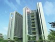 Dự án Dolphin Plaza được chủ đầu tư cam kết thuê lại với mức 1.000-1.700 USD/tháng