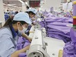 Dệt may là một trong những ngành được hưởng lợi khi Hiệp định TPP được ký kết