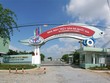IDI chuẩn bị phát hành gần 40 triệu cổ phiếu