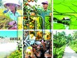 Tỷ trọng vốn FDI trong nông nghiệp là rất thấp