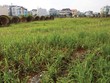 Nhiều lô đất mua thời sốt sình sịch, giờ muốn tống đi cho nhẹ nợ cũng không dễ - Ảnh minh họa: Lê Toàn