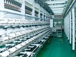 78% sản phẩm STK sản xuất ra là để xuất khẩu