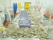 WTO ra phán quyết có lợi cho tôm Việt Nam